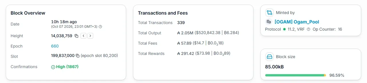 Cexplorer page for Cardano block 14038759 showing 339 transactions and 96.59 percent block size